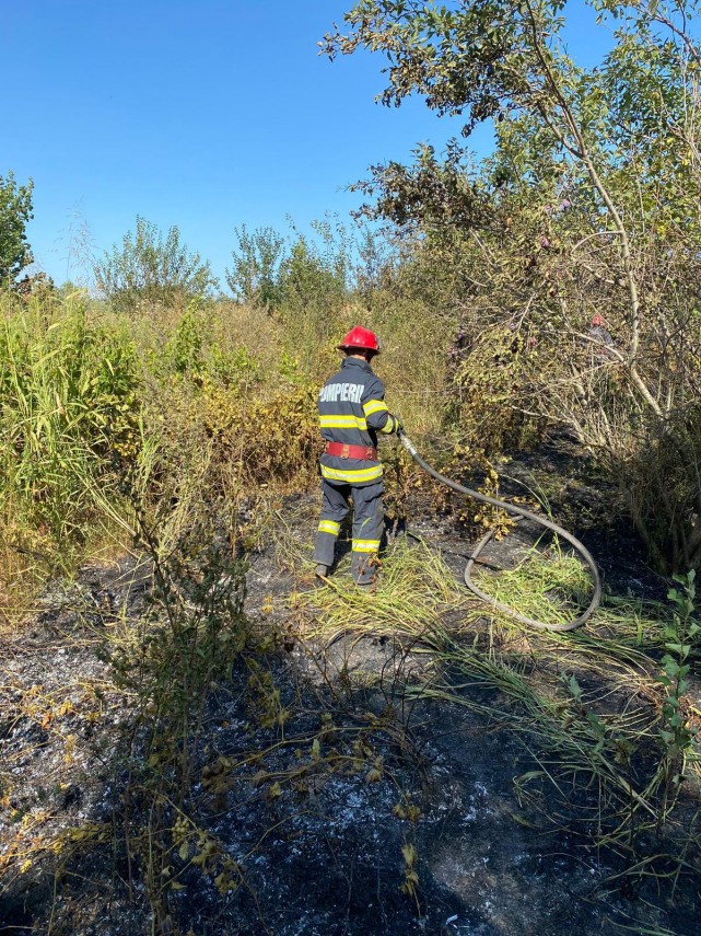 judetul tulcea pompierii isu delta chemati sa stinga incendii de vegetatie uscata ce le recomanda cetatenilor judetul tulcea pompierii isu delta chemati sa stinga incendii de vegetatie uscata ce le recomanda cetatenilor