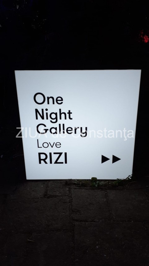 live text usile vilei sutu se deschid in aceasta seara dupa mult timp pentru expozitia one night gallery live text usile vilei sutu se deschid in aceasta seara dupa mult timp pentru expozitia one night gallery