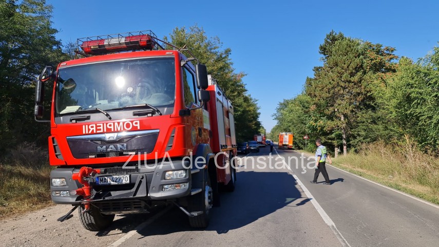 incendiu in padurea de la murfatlar judetul constanta 756929 incendiu in padurea de la murfatlar judetul constanta 756929