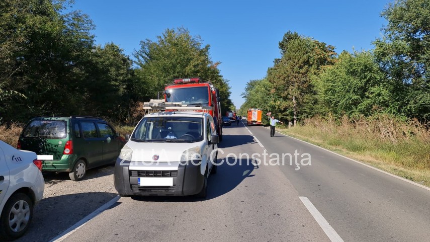 incendiu in padurea de la murfatlar judetul constanta 756929 incendiu in padurea de la murfatlar judetul constanta 756929