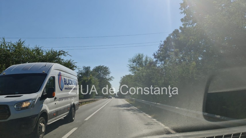 incendiu in padurea de la murfatlar judetul constanta 756929 incendiu in padurea de la murfatlar judetul constanta 756929