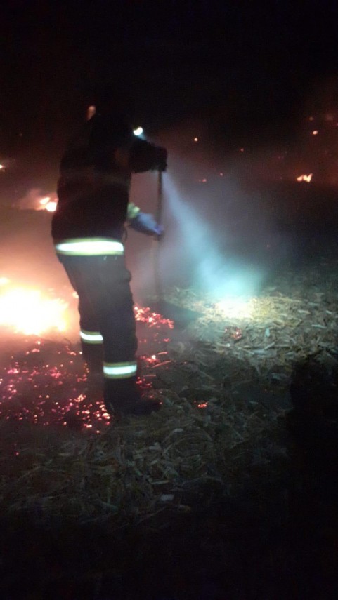 zeci de hectare de vegetatie mistuite noaptea trecuta intr un incendiu in judetul tulcea galerie foto zeci de hectare de vegetatie mistuite noaptea trecuta intr un incendiu in judetul tulcea galerie foto