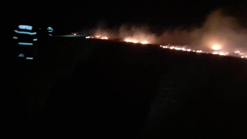 zeci de hectare de vegetatie mistuite noaptea trecuta intr un incendiu in judetul tulcea galerie foto zeci de hectare de vegetatie mistuite noaptea trecuta intr un incendiu in judetul tulcea galerie foto