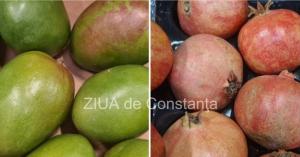 Centrulnatura.ro Aspecte legate de sănătate importante în completarea unui stil de viață/ dietă fructariană  