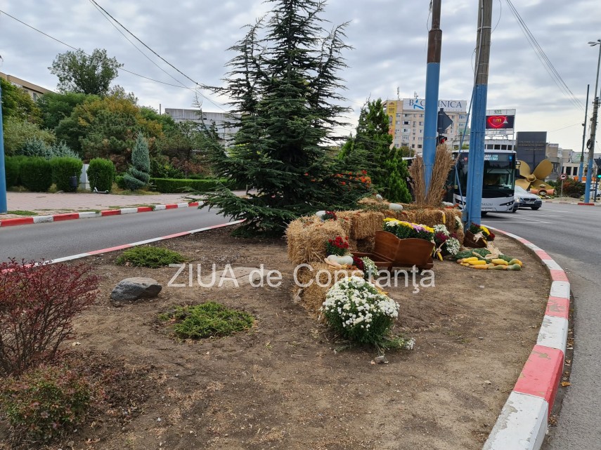 fotoreportaj baloti de fan dovlecei si flori de toamna in intersectie la dacia 758925 fotoreportaj baloti de fan dovlecei si flori de toamna in intersectie la dacia 758925