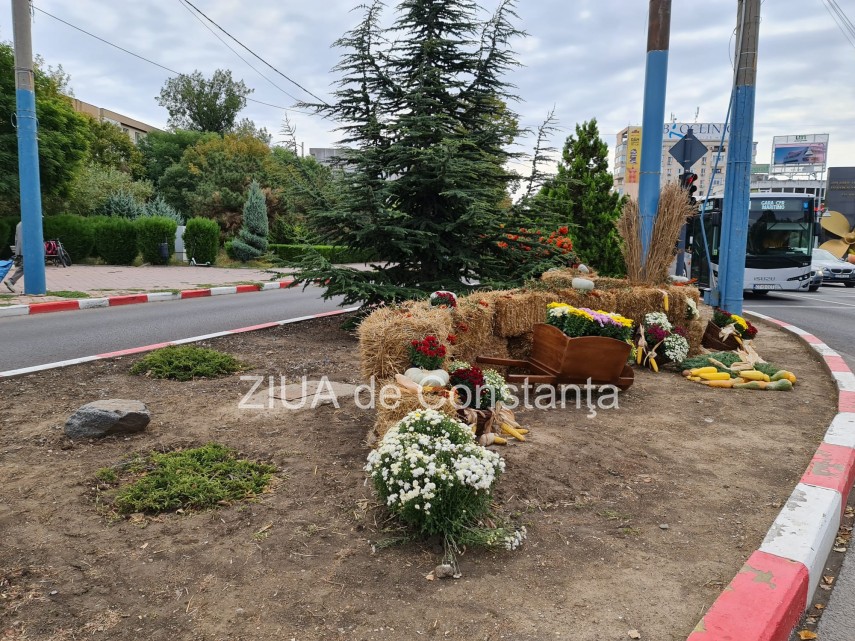 fotoreportaj baloti de fan dovlecei si flori de toamna in intersectie la dacia 758925 fotoreportaj baloti de fan dovlecei si flori de toamna in intersectie la dacia 758925