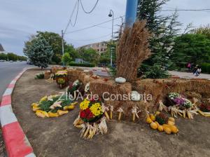 Fotoreportaj Baloți de fân, dovlecei și flori de toamnă, în intersecție la Dacia 