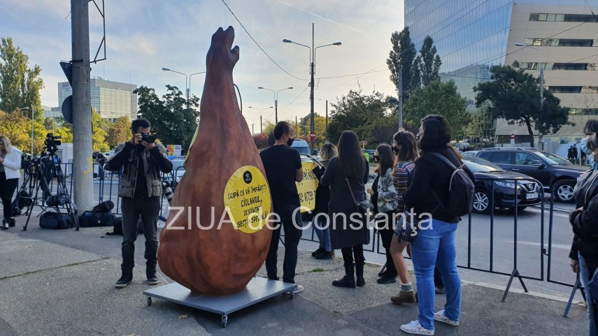 update 10 congresul pnl florin citu a castigat presedintia pnl galerie foto video 759201 update 10 congresul pnl florin citu a castigat presedintia pnl galerie foto video 759201