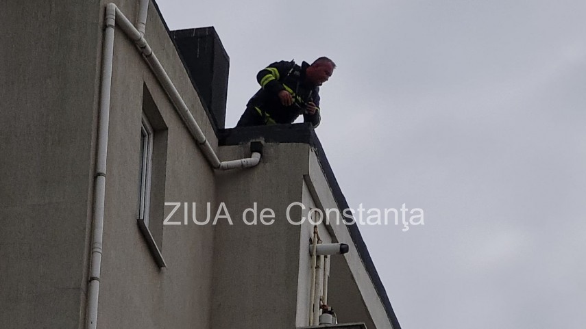 constanta incendiu intr un apartament de pe strada ecaterina varga galerie foto si video 759327 constanta incendiu intr un apartament de pe strada ecaterina varga galerie foto si video 759327