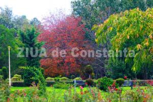 Centrulnatura.ro Să ne antrenăm un mod de viață nou, mai natural 