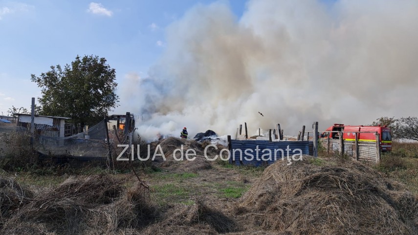 incendiu la gara de nord agigea arde o anexa cu animale galerie foto video 761370 incendiu la gara de nord agigea arde o anexa cu animale galerie foto video 761370
