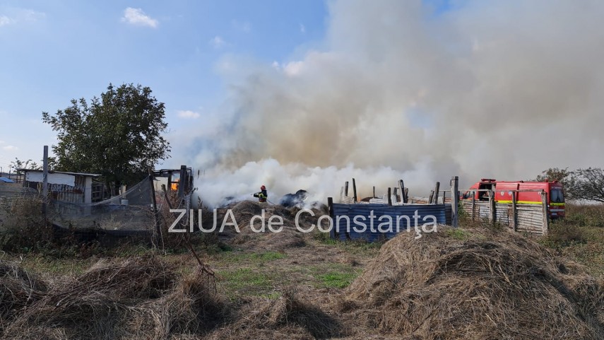 incendiu la gara de nord agigea arde o anexa cu animale galerie foto video 761370 incendiu la gara de nord agigea arde o anexa cu animale galerie foto video 761370