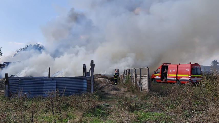 incendiu la gara de nord agigea arde o anexa cu animale galerie foto video 761370 incendiu la gara de nord agigea arde o anexa cu animale galerie foto video 761370