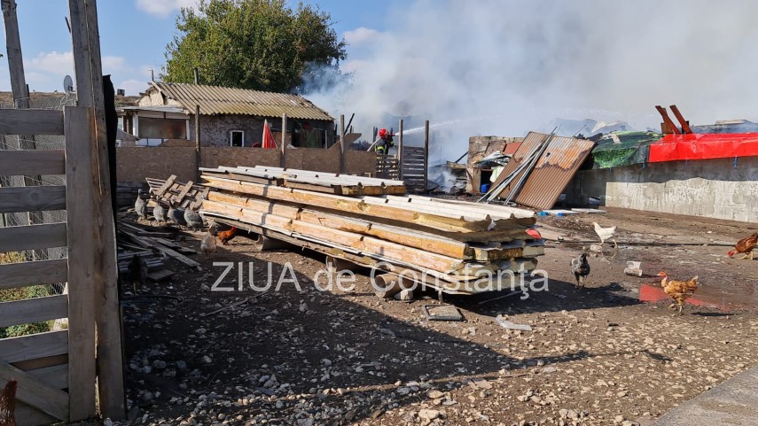 incendiu la gara de nord agigea arde o anexa cu animale galerie foto video 761370 incendiu la gara de nord agigea arde o anexa cu animale galerie foto video 761370