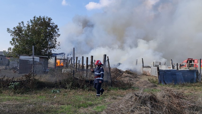 incendiu la gara de nord agigea arde o anexa cu animale galerie foto video 761370 incendiu la gara de nord agigea arde o anexa cu animale galerie foto video 761370