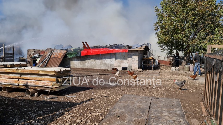 incendiu la gara de nord agigea arde o anexa cu animale galerie foto video 761370 incendiu la gara de nord agigea arde o anexa cu animale galerie foto video 761370