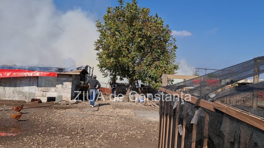 incendiu la gara de nord agigea arde o anexa cu animale galerie foto video 761370 incendiu la gara de nord agigea arde o anexa cu animale galerie foto video 761370