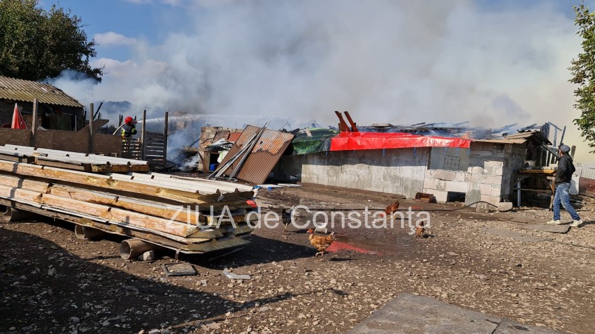 incendiu la gara de nord agigea arde o anexa cu animale galerie foto video 761370 incendiu la gara de nord agigea arde o anexa cu animale galerie foto video 761370