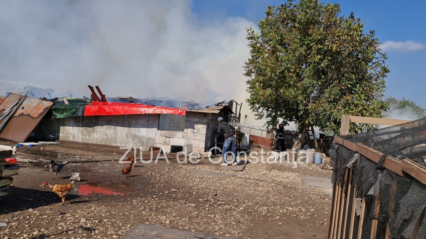 incendiu la gara de nord agigea arde o anexa cu animale galerie foto video 761370 incendiu la gara de nord agigea arde o anexa cu animale galerie foto video 761370