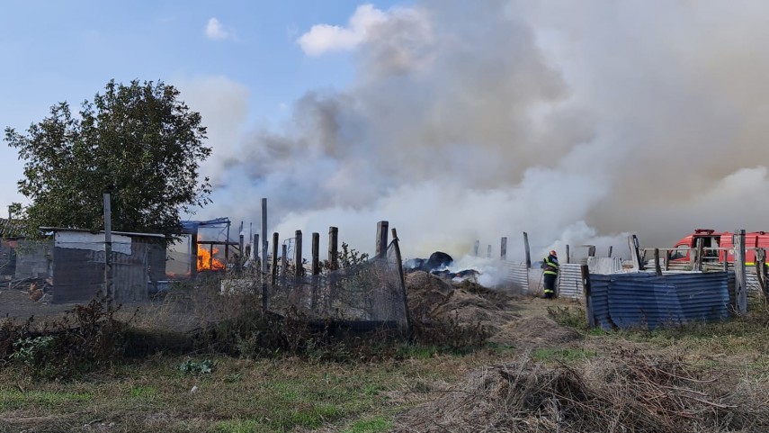 incendiu la gara de nord agigea arde o anexa cu animale galerie foto video 761370 incendiu la gara de nord agigea arde o anexa cu animale galerie foto video 761370