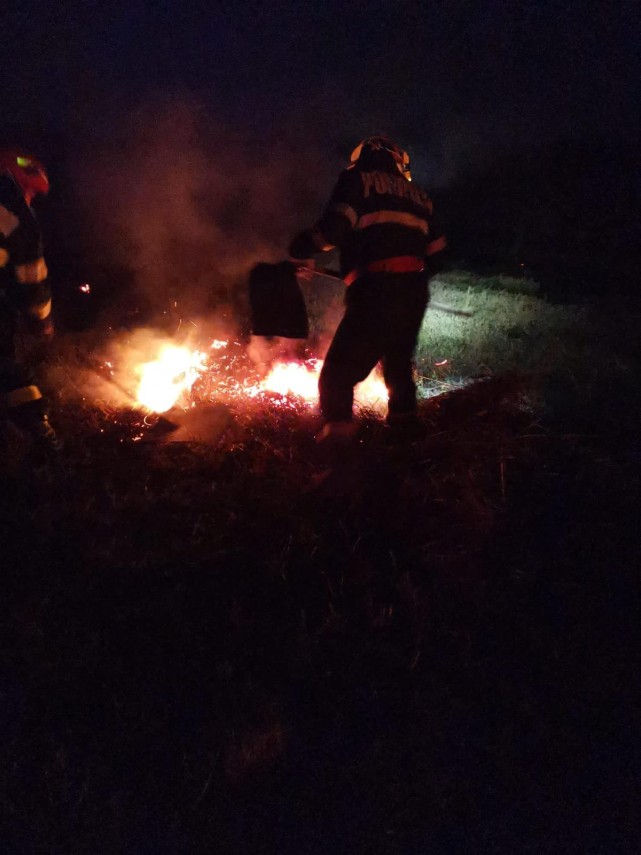 incendiu in apropierea localitatii garvan judetul tulcea galerie foto 761537 incendiu in apropierea localitatii garvan judetul tulcea galerie foto 761537