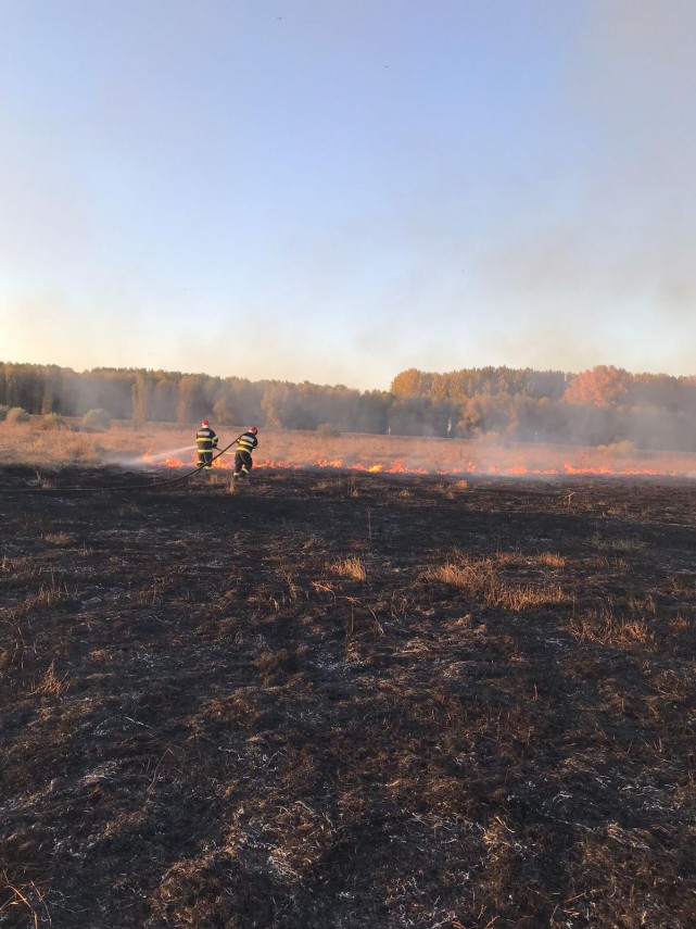 isu delta tulcea incendiu pe o suprafata de aproximativ sase hectare de vegetatie uscata 762047 isu delta tulcea incendiu pe o suprafata de aproximativ sase hectare de vegetatie uscata 762047