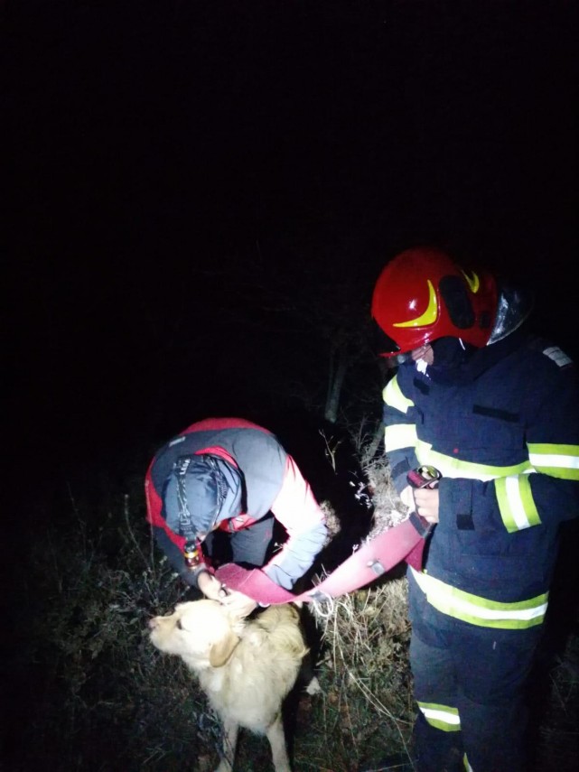 doua persoane s au ratacit in muntii macinului inainte de miezul noptii dupa cat timp au fost gasite doua persoane s au ratacit in muntii macinului inainte de miezul noptii dupa cat timp au fost gasite