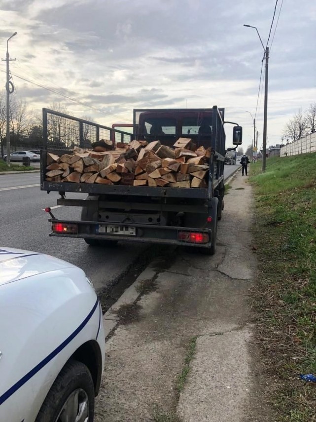 constanta peste 40 metri cubi de material lemnos confiscat de politisti 766747 constanta peste 40 metri cubi de material lemnos confiscat de politisti 766747