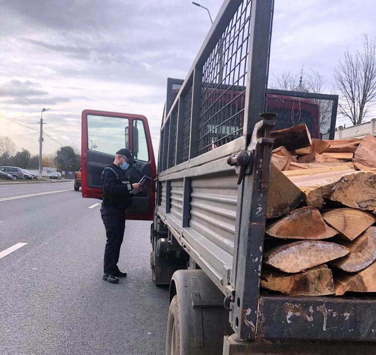constanta peste 40 metri cubi de material lemnos confiscat de politisti 766747 constanta peste 40 metri cubi de material lemnos confiscat de politisti 766747