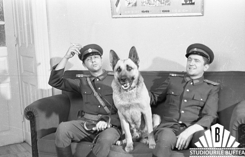 noi poze de colectie din timpul filmarilor pentru brigada diverse galerie foto 766757 noi poze de colectie din timpul filmarilor pentru brigada diverse galerie foto 766757