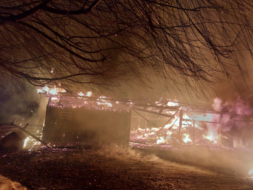 judetul suceava o femeie ranita intr un incendiu devastator izbucnit la un canrton silvic galerie foto judetul suceava o femeie ranita intr un incendiu devastator izbucnit la un canrton silvic galerie foto