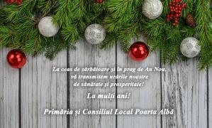 Primăria și Consiliul Local Poarta Albă, mesaj de Crăciun și de Anul Nou